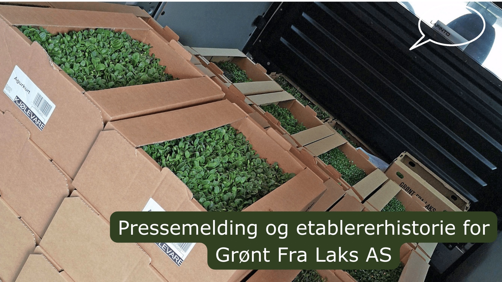 20231018 Pressemelding fra Grønt fra Laks hero